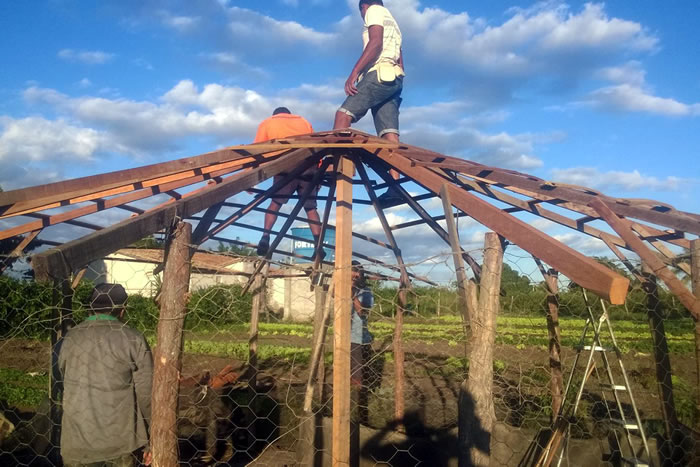 Irrigantes da Cohidro vão produzir galinha orgânica no Alto Sertão