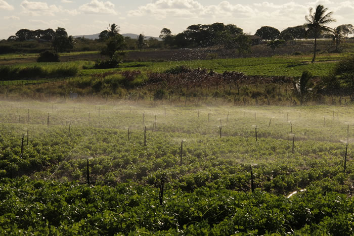 Cohidro e Banco Mundial definem últimos ajustes para o “Águas de Sergipe”