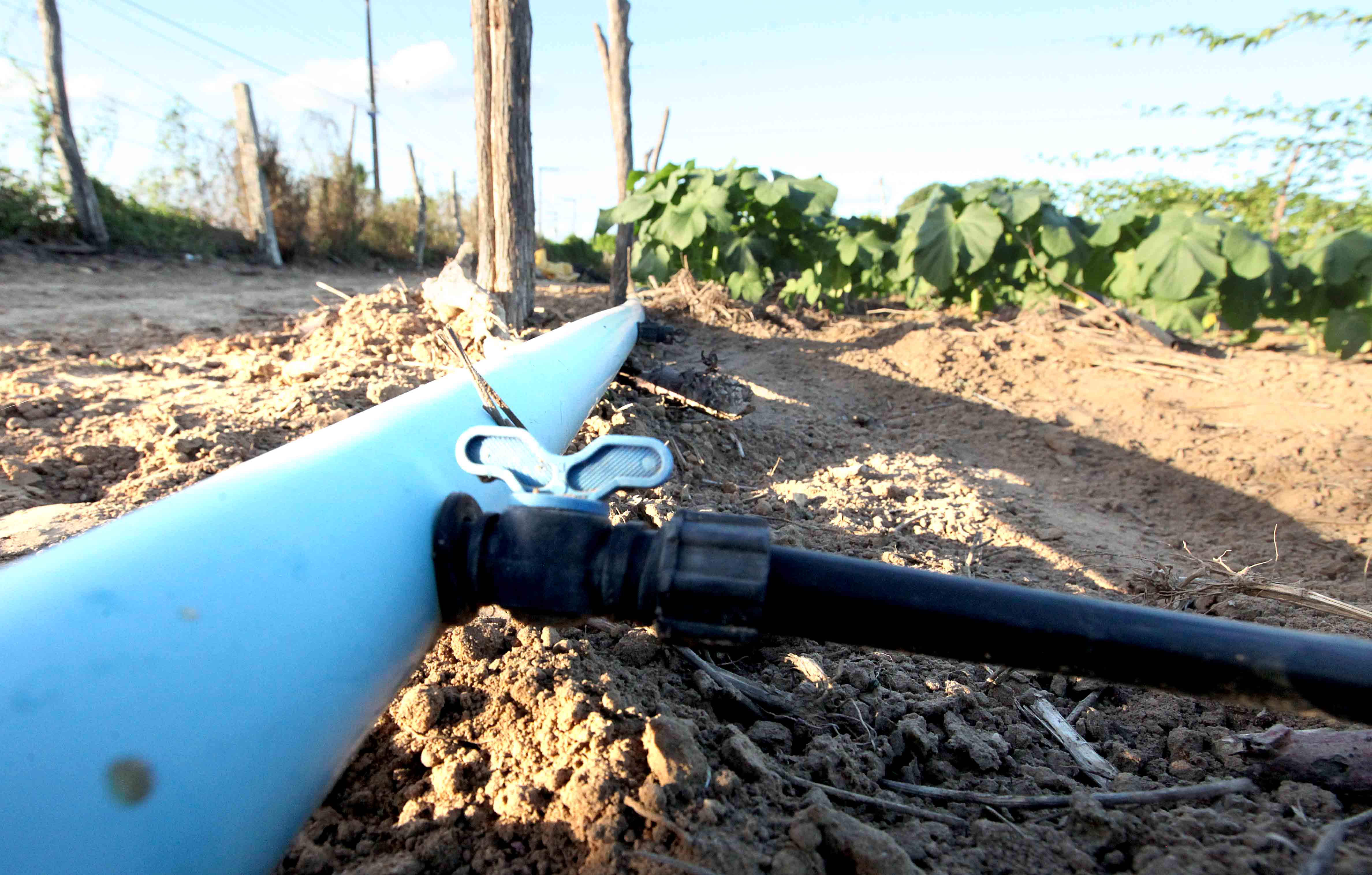 Produtores do perímetro irrigado de Lagarto registram melhorias após investimento do Governo do Estado