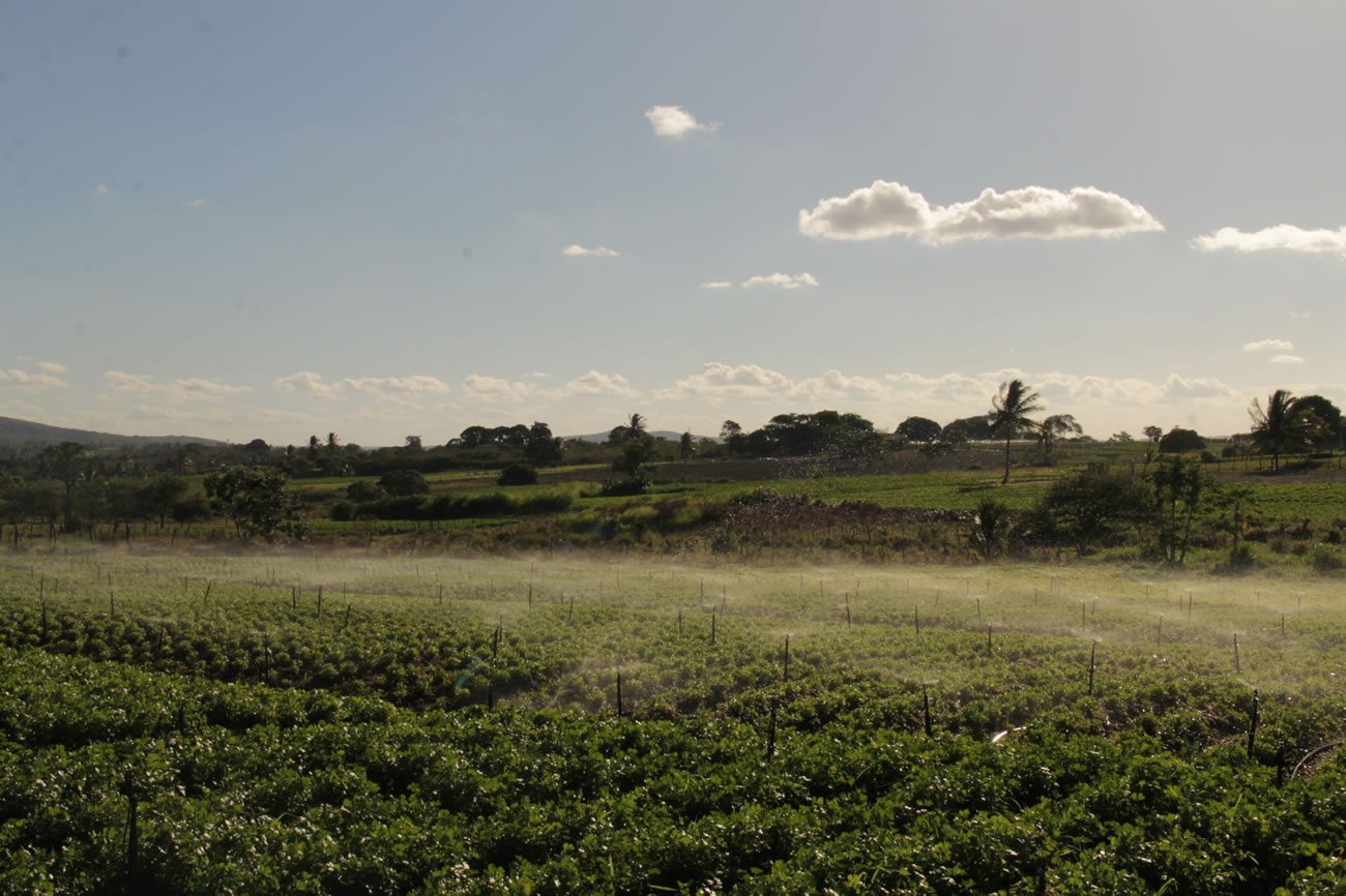 Assinada ordem de serviço para troca de sistemas de irrigação em Itabaiana