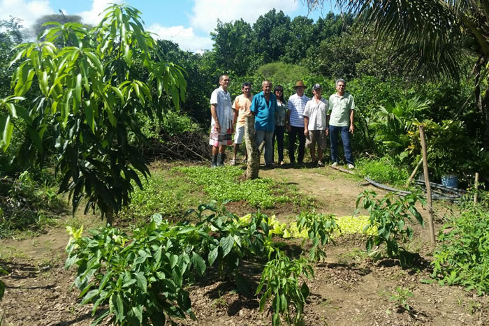 Orgânicos assistidos pela Cohidro visitam produtor do Colônia Treze