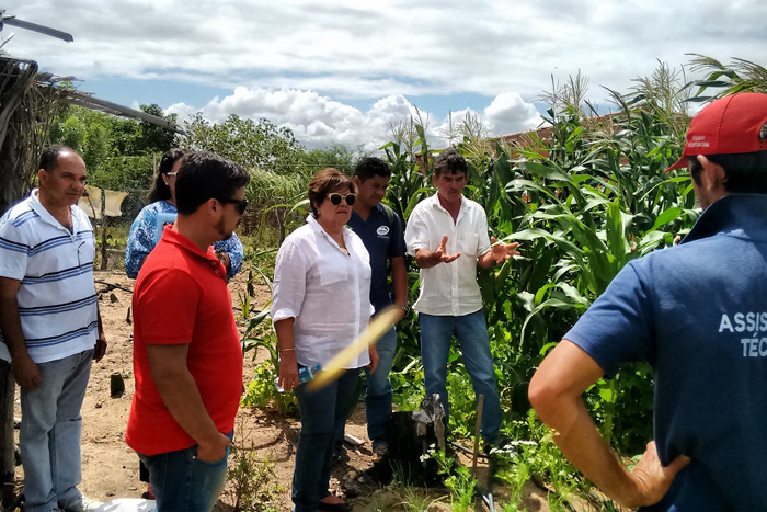 Seidh incentiva produções orgânicas no Perímetro Califórnia