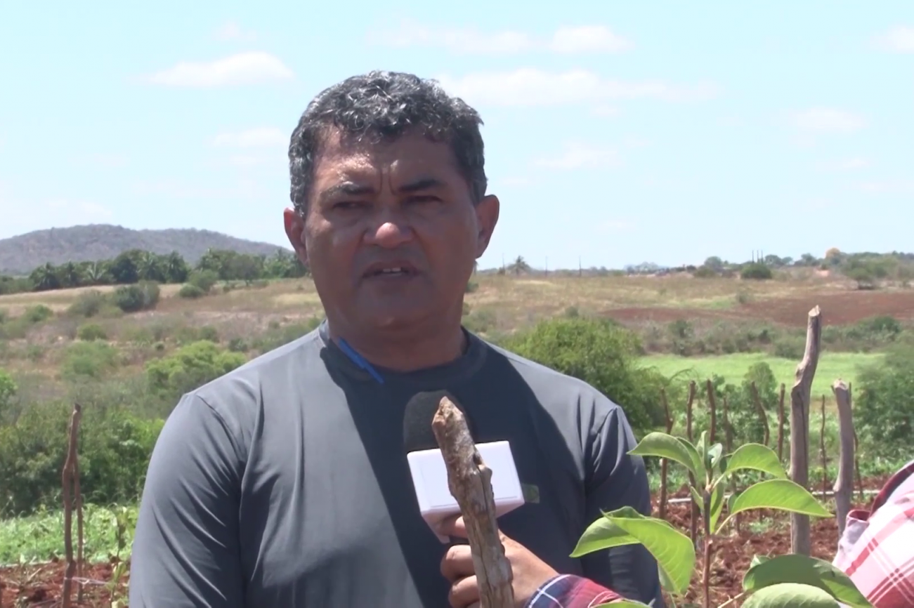 Pera no perímetro Califórnia foi reportagem no Sergipe Rural