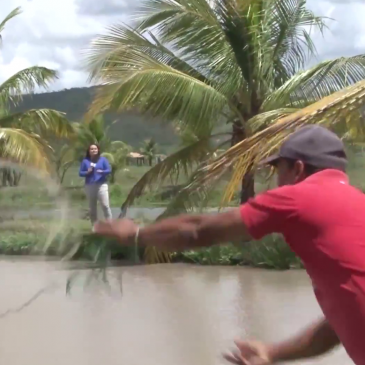 Piscicultura no Perímetro Jabiberi é tema de reportagem no Sergipe Rural