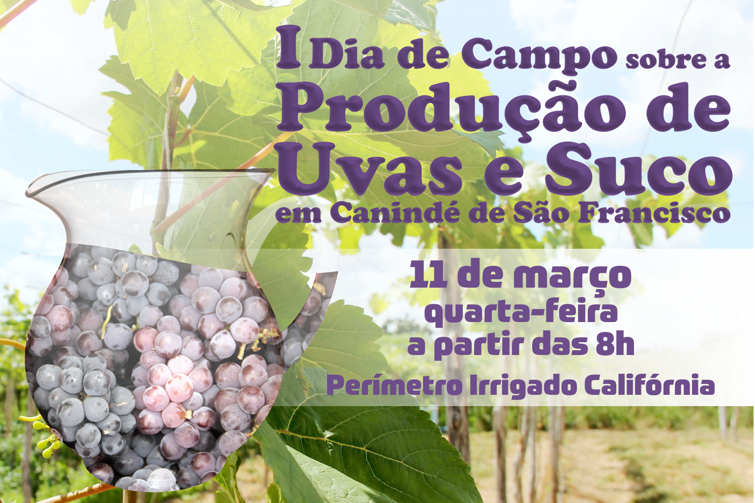 Cohidro e Embrapa realizam I Dia de Campo sobre a produção de uvas e suco em Canindé de São Francisco