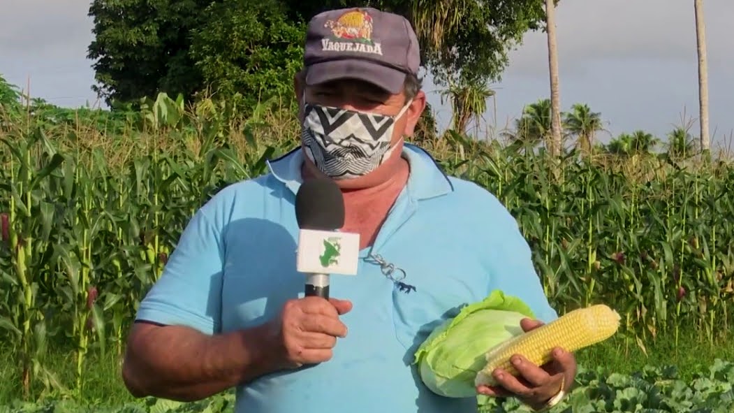 [vídeo] Agricultor do perímetro de Lagarto faz aproveitamento diversificado do lote irrigado