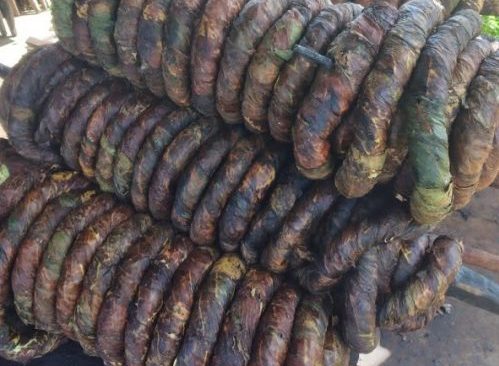 [vídeo]  Aumenta produção de fumo assistida pela Cohidro em Lagarto