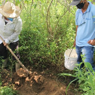 [vídeo] Governo disponibilizou análise de solo para agricultores de perímetro de Lagarto via Emdagro e ITPS