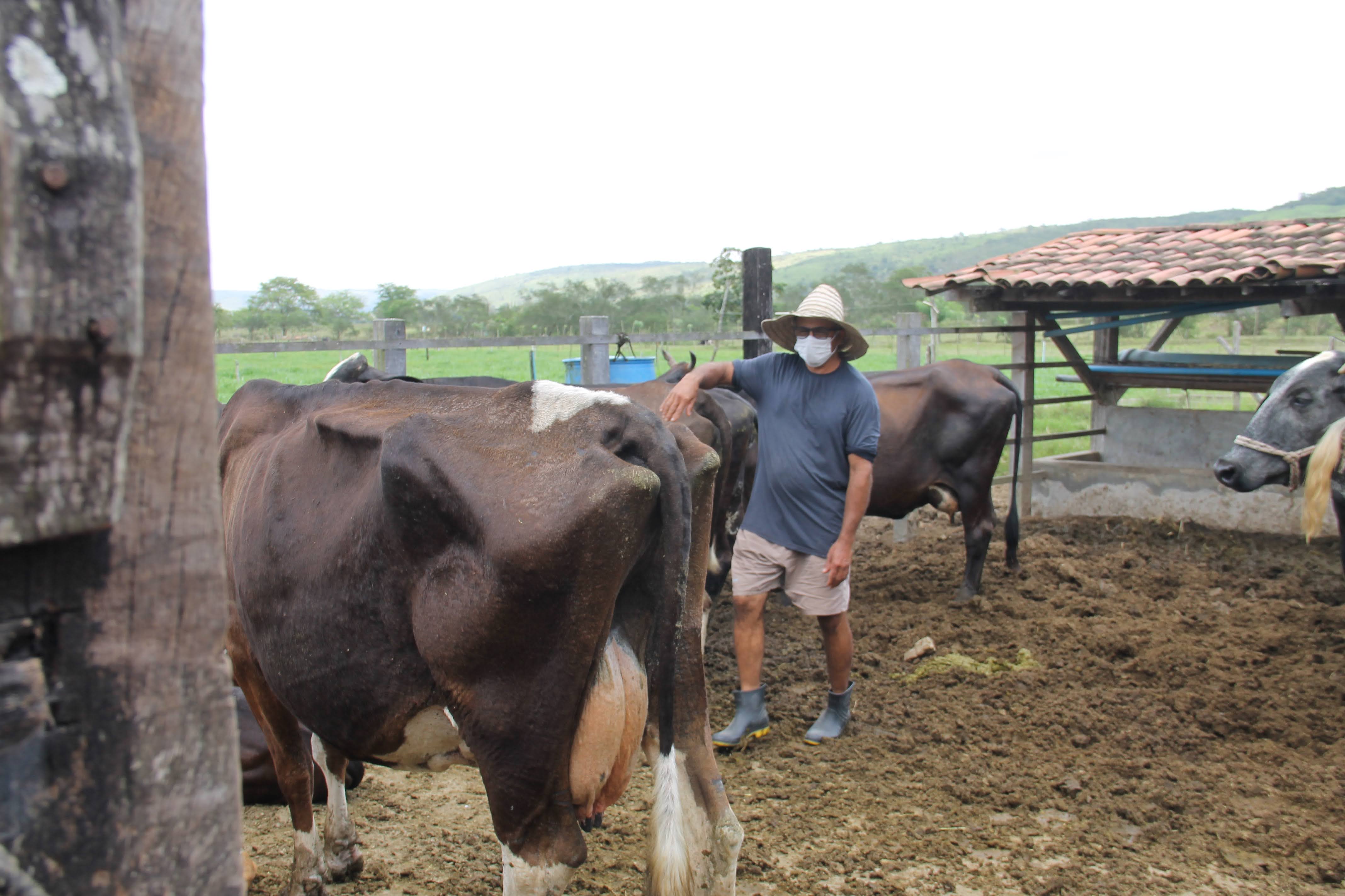 [vídeo] Programa Estadual de Melhoramento Genético atende perímetro irrigado da Cohidro