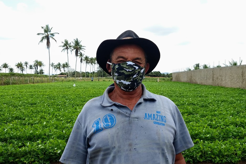 [vídeo] Retomada da produção do amendoim em Lagarto é assunto do Sergipe Rural