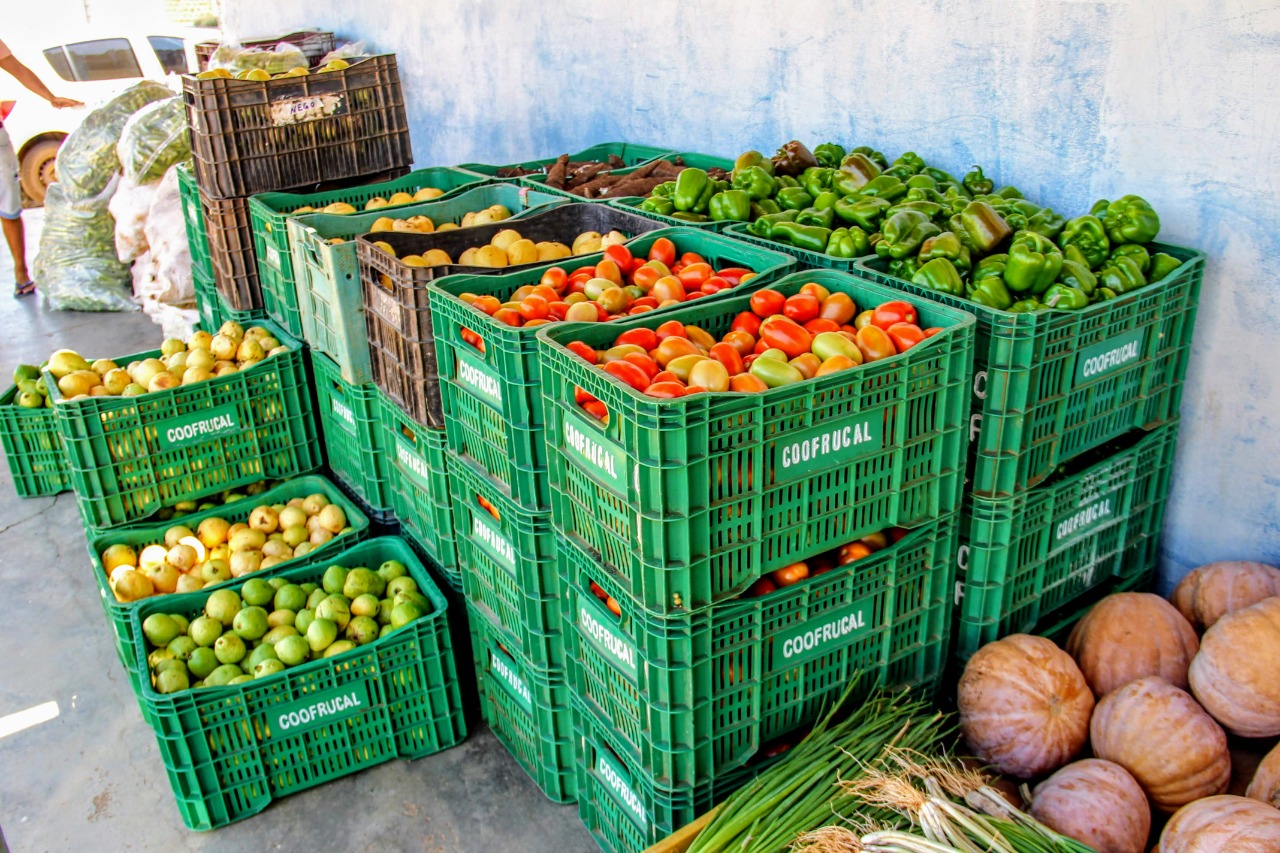 Governo do Estado reforça assessoria técnica para irrigantes participarem do Alimenta Brasil