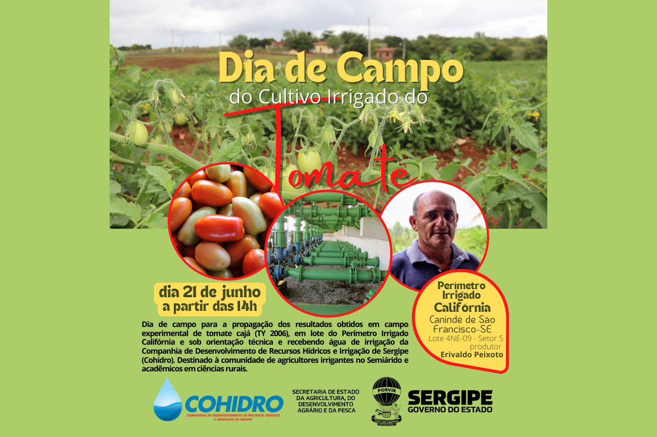 Perímetro de Canindé promove Dia de Campo do Cultivo Irrigado do Tomate nesta terça, 21