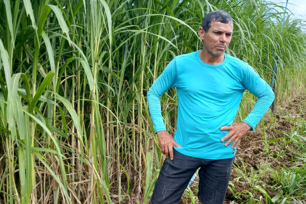 Irrigante é exemplo de autossuficiência na produção de carne e leite