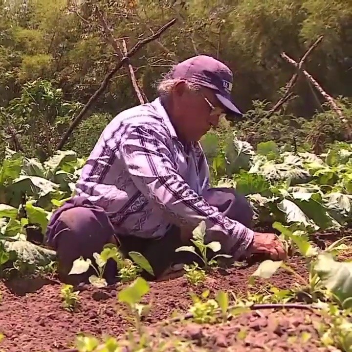 [vídeo] Estação Agrícola mostrou potencial da agricultura irrigada mantida pelo Governo de Sergipe