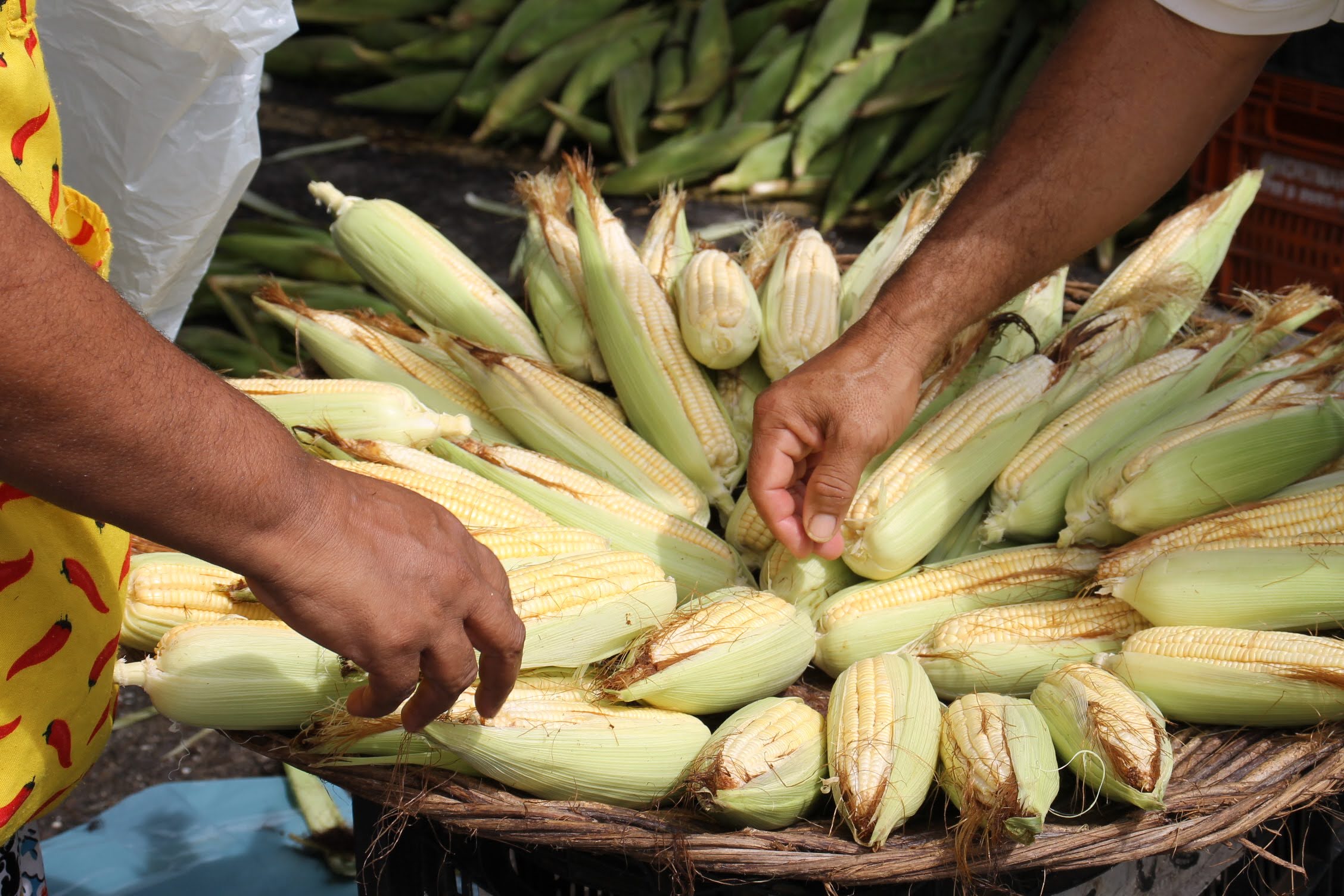 Feira Junina da Ceasa Aracaju oferece produtos típicos e forró até dia 29