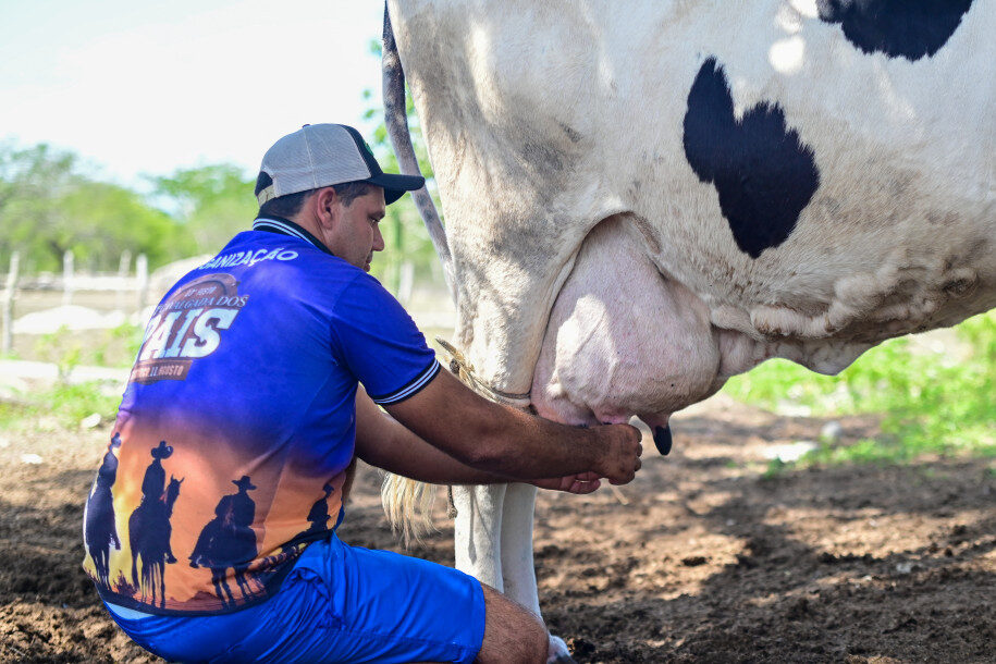 Trabalhadores rurais contam com investimentos do Governo e auxiliam o estado a ter a avanços na produção de leite