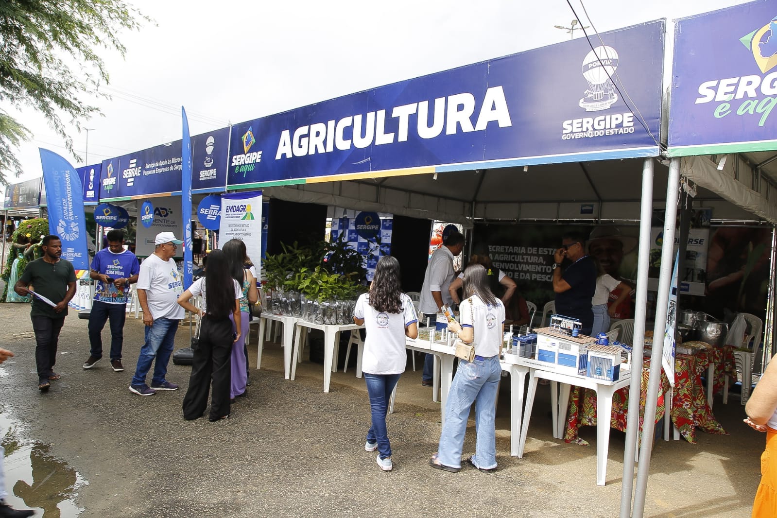Serviços da Agricultura e empresas vinculadas foram ofertados durante a 49ª edição do ‘Sergipe é aqui’