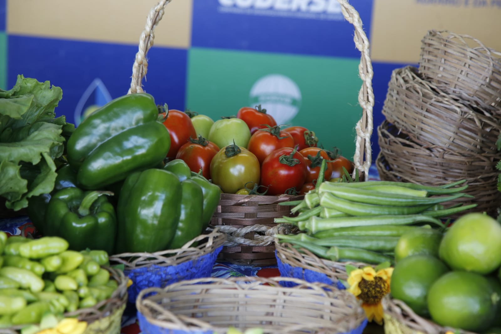 Produção agrícola de Sergipe segue tendência de aumento para o ano de 2025