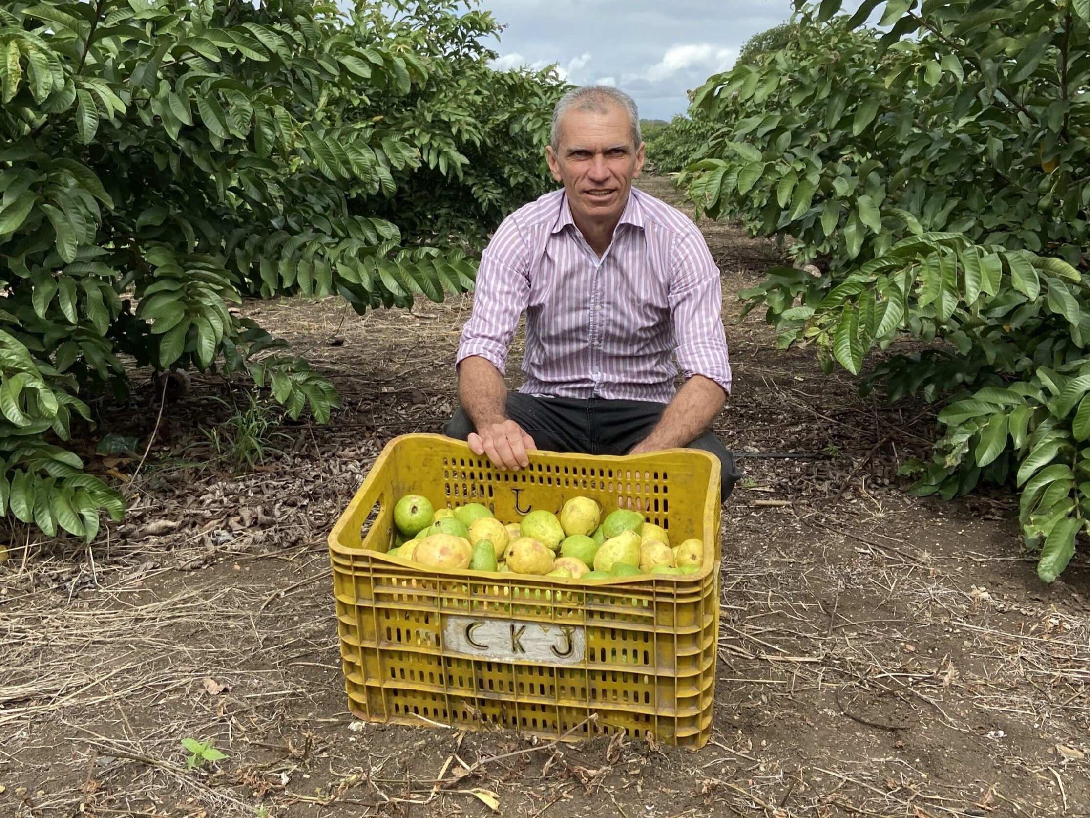 Nova etapa do projeto Lagos do São Francisco beneficiará mais de 2,6 mil produtores rurais em quatro estados do Nordeste