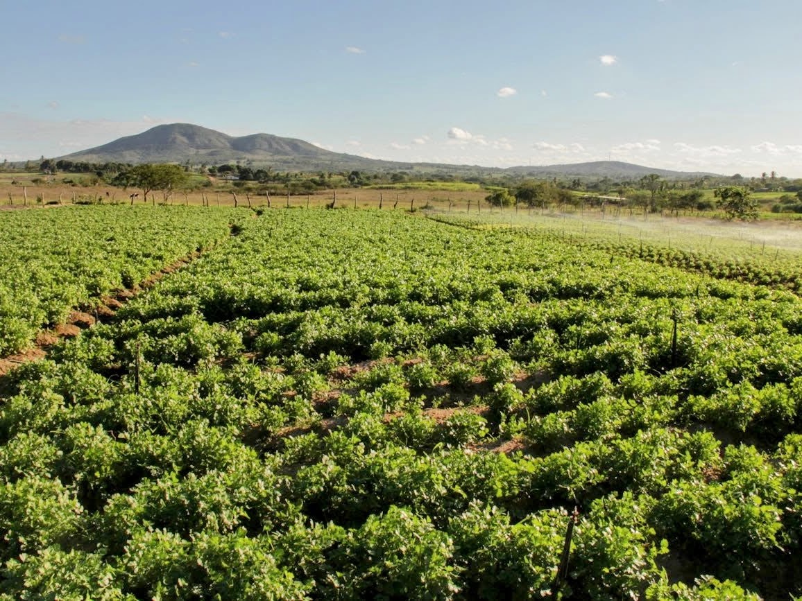 Estado anuncia quase R$ 20 milhões em equipamentos e segurança de barragens para os perímetros irrigados