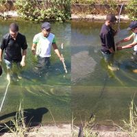 S (fotomontagem com acervo do professor Rogério Oliveira)