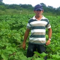 Delfino Batista também recebe acadêmicos de todas as facultades agrícolas em seu lote