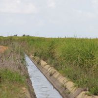 1 - Agua e distribuída pelos mais de 7.000ha do Plato de Neopolis via canais de irrigacao - Foto Fernando Augusto (Ascom Cohidro)