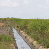 1 - Agua e distribuída pelos mais de 7.000ha do Plato de Neopolis via canais de irrigacao - Foto Fernando Augusto (Ascom Cohidro)