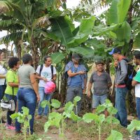 Nesta visita, plantacoes e variedades cultivadas ficaram em segundo plano. Foco era o agricultor - foto Fernando Augusto (Ascom Cohidro)