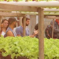 Produtor e tambem agroecologo, Denisson mostrou sua estufa de hidroponia desenvolvida dentro do Perimetro Piaui - foto Fernando Augusto (Ascom Cohidro)