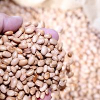 Fotos: Jorge Henrique/ASN