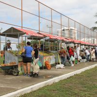 FAF orgânica no Parque da Sementeira foi novidade para os moradores do Bairro Jardins e que surgiu em 2017 - foto: Fernando augusto (Ascom/Cohidro)