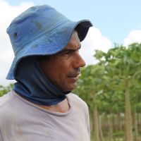 Josenaldo plantou uma +írea de mam+úo e est+í investindo em outras duas - Foto Fernando Augusto (Ascom Cohidro)