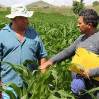 José Leidison com o técnico agrícola da Cohidro que orienta seu lote, Roberto Ramos - Foto Fernando Augusto (Ascom Cohidro)