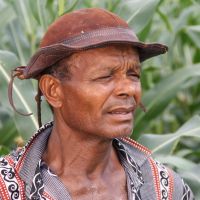 O agricultor José Roberto vê a diferença entre plantar com e sem a irrigação - Foto Fernando Augusto (Ascom Cohidro)