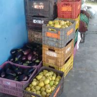 Foto: Andrea Santtos (Cohidro)