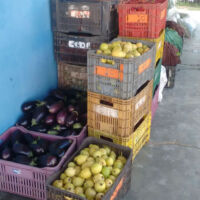 Foto: Andrea Santtos (Cohidro)