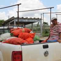 Sede dos Perímetros (Ribeira foto) serve de ponto de redistribuição, pesagem e contabilização das entregas que serão feitas às doações - Foto Fernando Augusto (Ascom Cohidro)