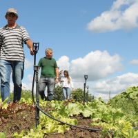 Seu Delfino recebendo a CPOrg-SE no lote em que planta. Não raro é o casal atuar em duas feiras simultâneas - foto Fernando Augusto (Ascom Cohidro)