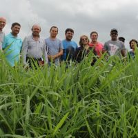 Visitação ocorreu em um período em que as pastagens se recuperam de uma das piores secas - Foto Fernando Augusto (Ascom Cohidro)