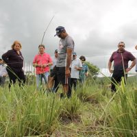 Grupo visitando os piquetes do lote de Pedro Vidal no Jabiberi - Foto Fernando Augusto (Ascom Cohidro)