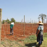 Foto: Fernando Augusto