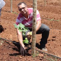 Técnico Edmilson também faz plantio inaugural de uma das mudas - Foto Ascom/Cohidro