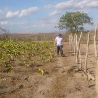 Equipes da Cohidro voltam ao Barra da Onça para locar poços e barragens (Foto Cohidro)