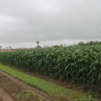 Perímetro Piauí, em Lagarto/ Foto: Ascom/Cohidro