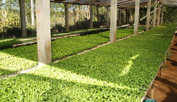 Agricultura familiar atendida nos perímetros gera cerca de R$ 112 milhões ao ano. - Foto: ASN