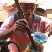 Delfino auxilia na preparação da Calda Bordalesa