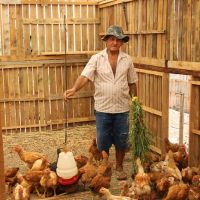 José Gonçalves no seu aviário feito inteiramente de palets