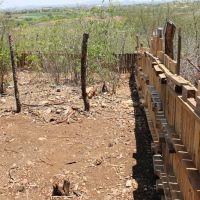 Mais reaproveitamento de palets no quintal ecológico de José Gonçalves