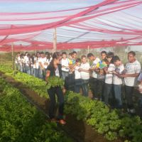 Alunos do sexto ano do Colégio Mundial, visitam o Perímetro Irrigado Piau4